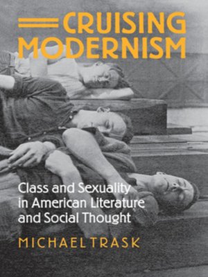 cover image of Cruising Modernism